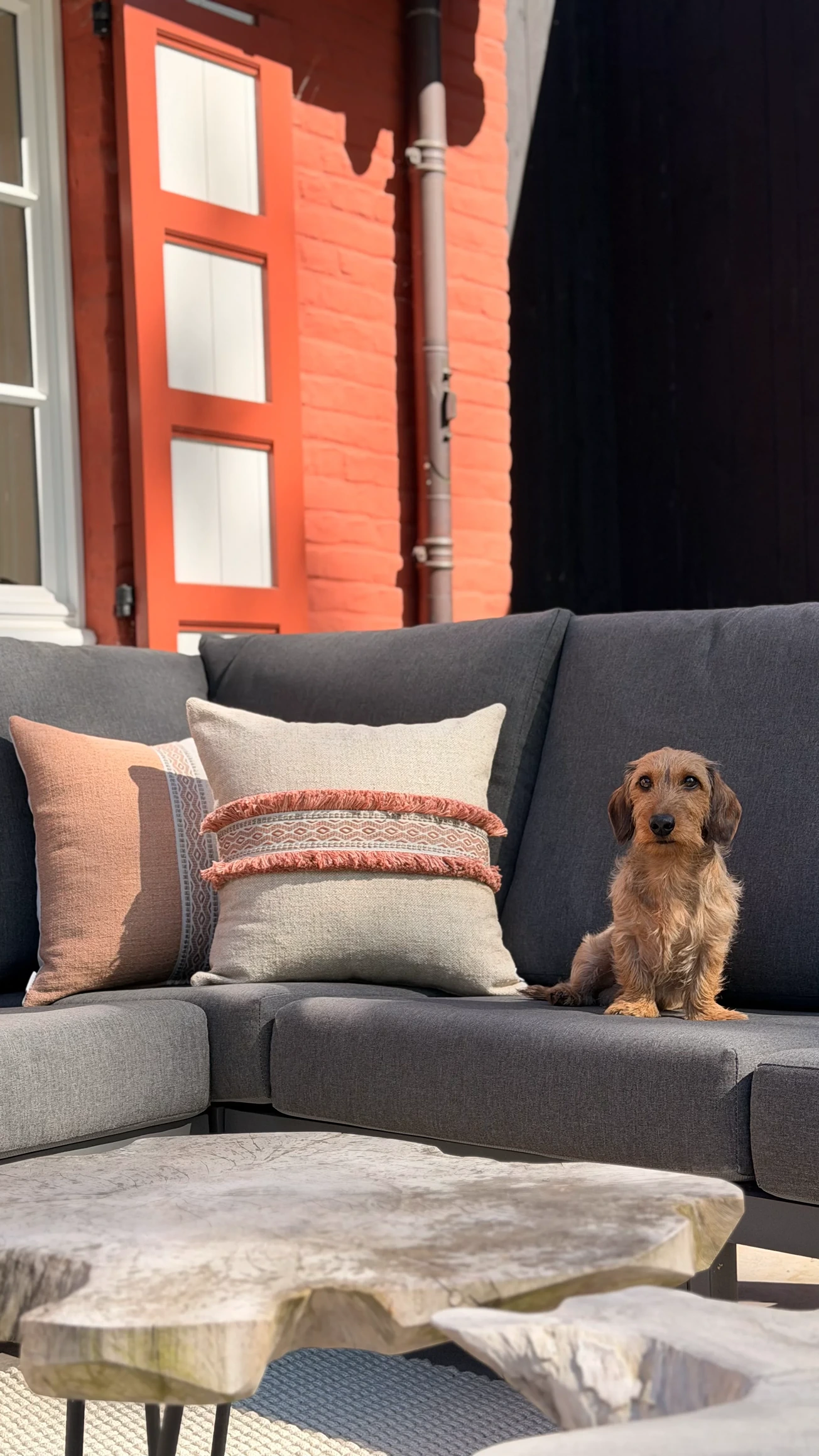 Teckel op een antracietgrijze buitenbank met terracotta boho-sierkussens voor een rode gevel