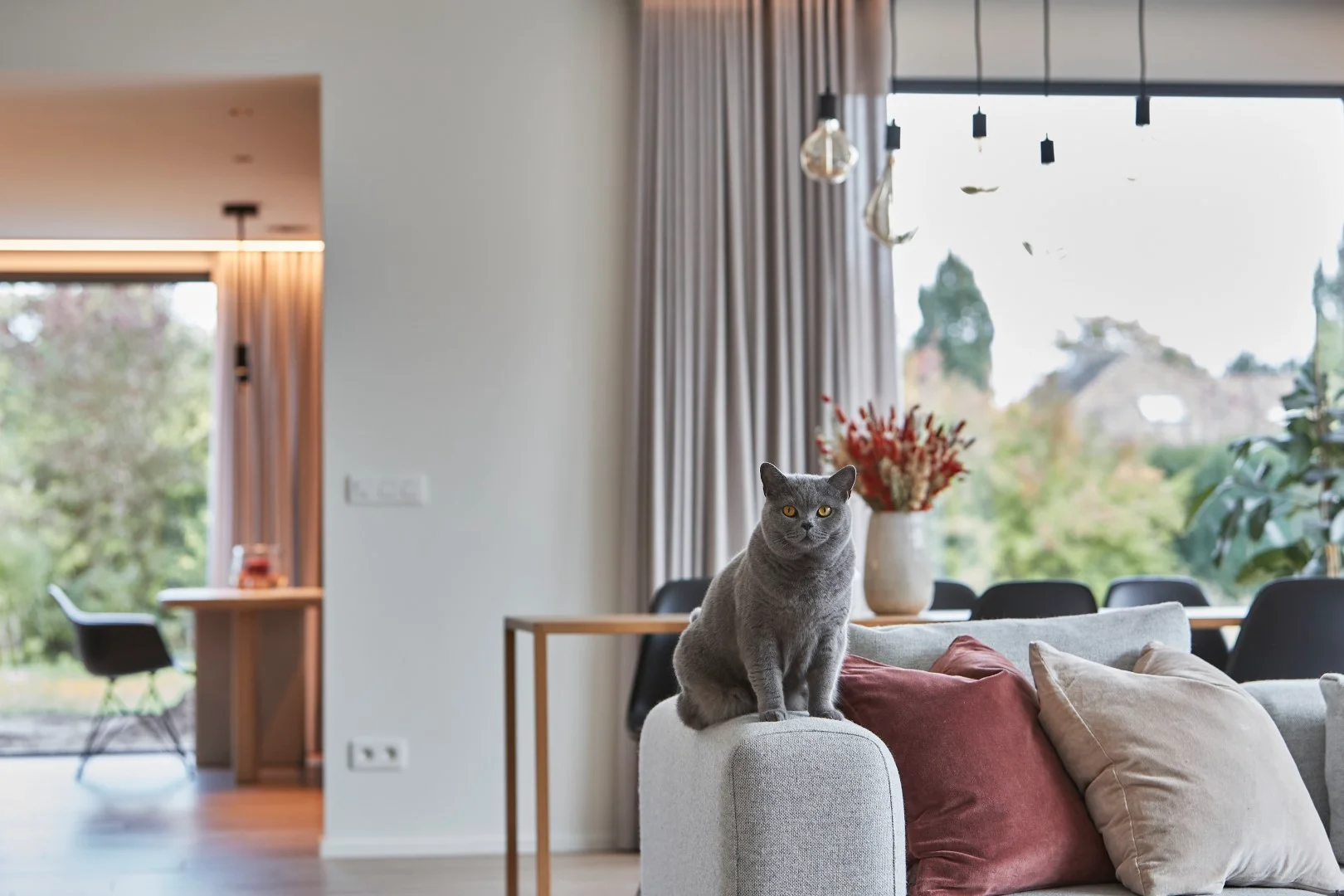 Taupe gordijnen bij het raam van een woonkamer met een grijze kat op een bank met terracotta sierkussens
